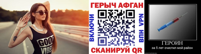 ГЕРОИН хмурый Певек