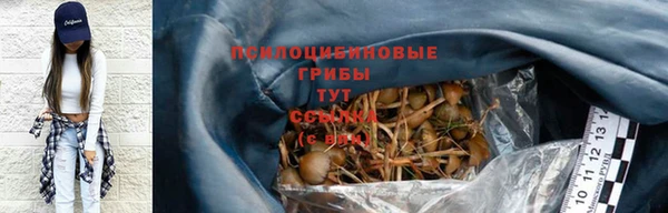 не бодяженный Дмитров