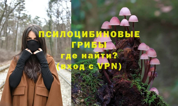 винт Туринск