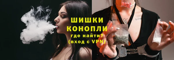 apvp Гусиноозёрск