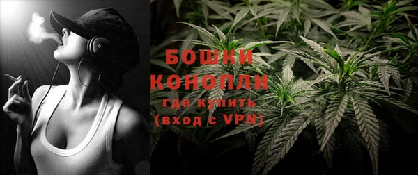 гидра Дмитриев